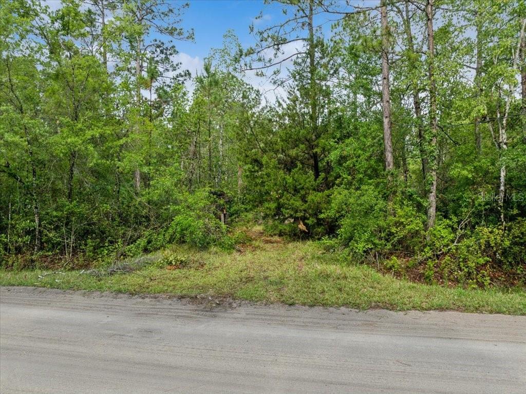 1756 Hazelnut St Property Photo 7