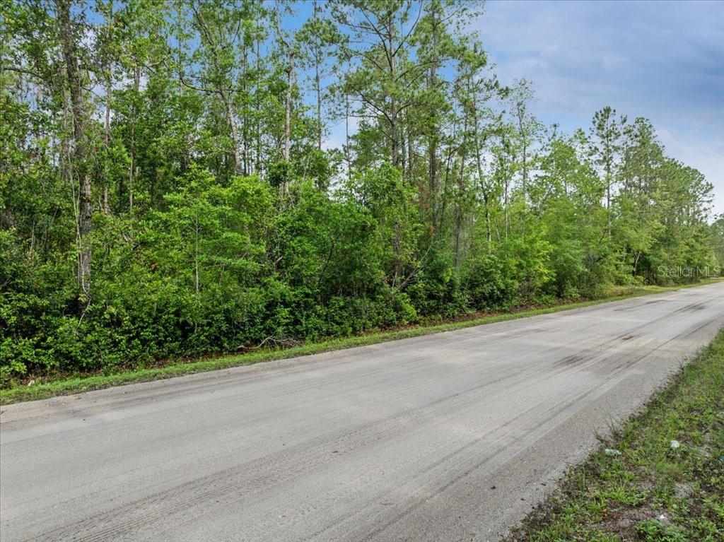 1756 Hazelnut St Property Photo 8