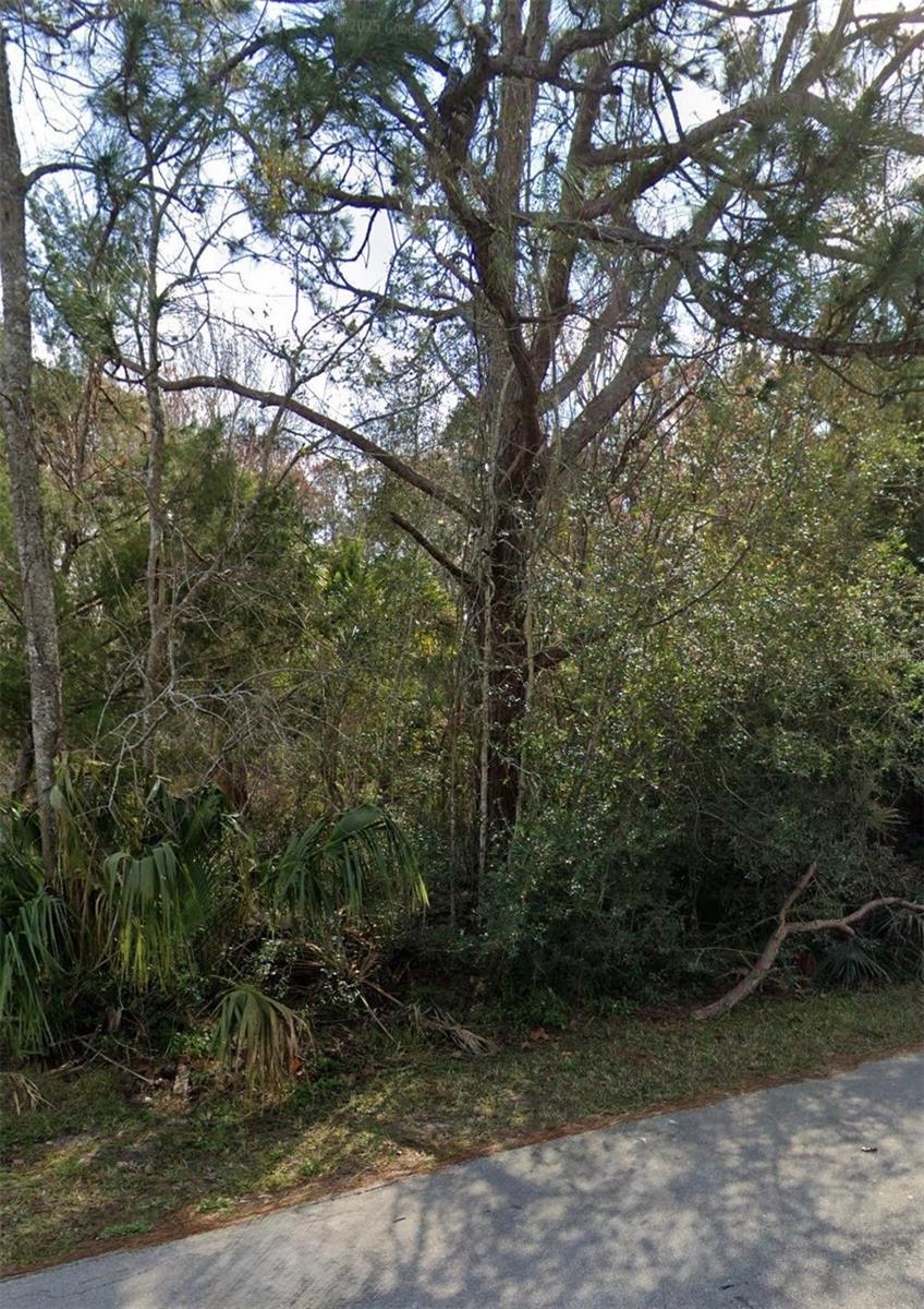 12 Selma Trl Property Photo 2