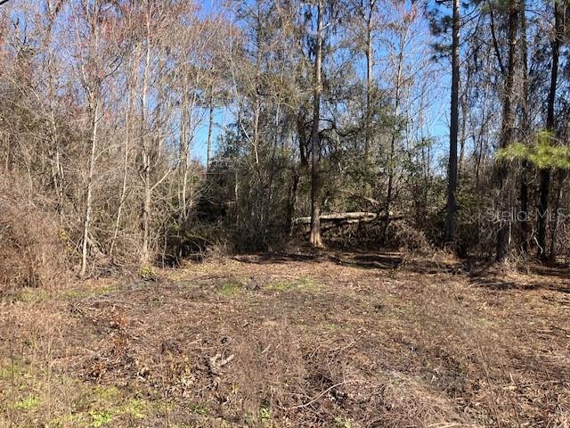 1881 Hazelnut St Property Photo 1