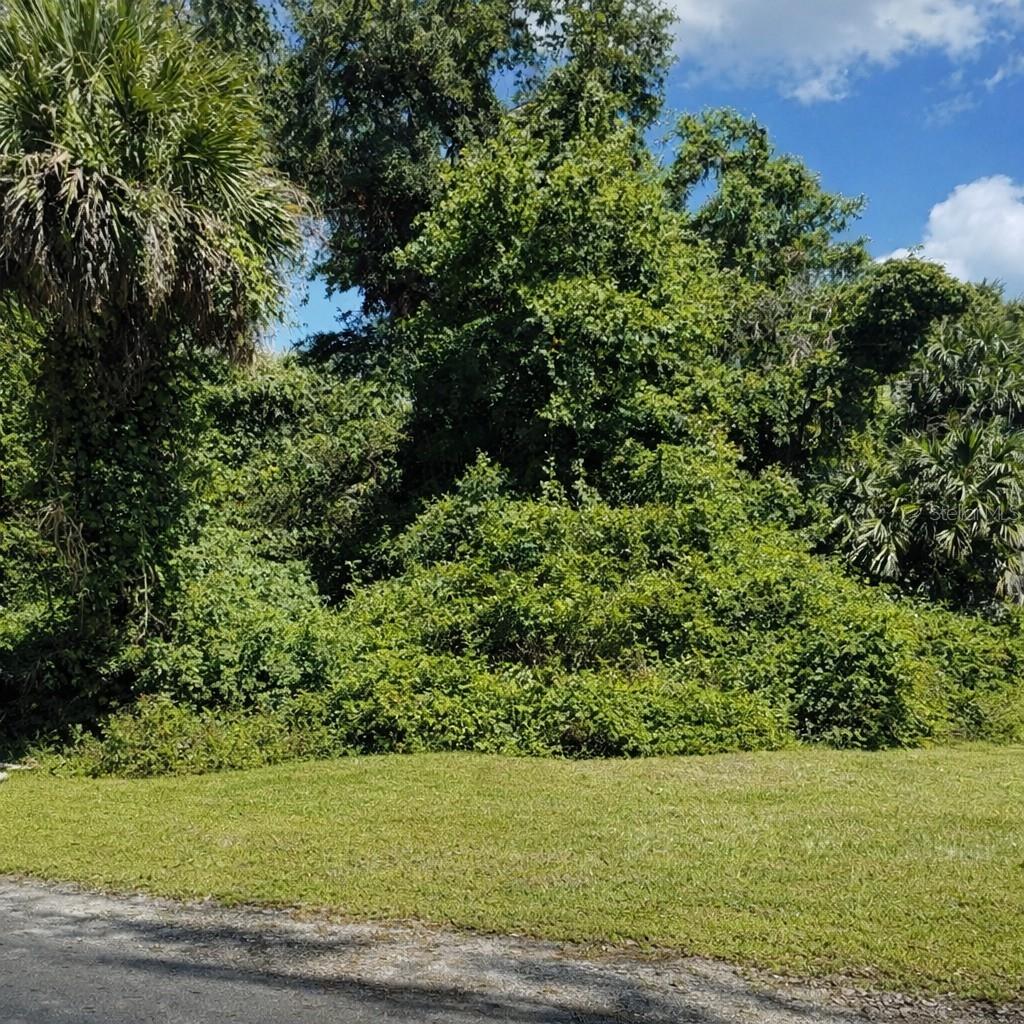 116 EDWARD DR