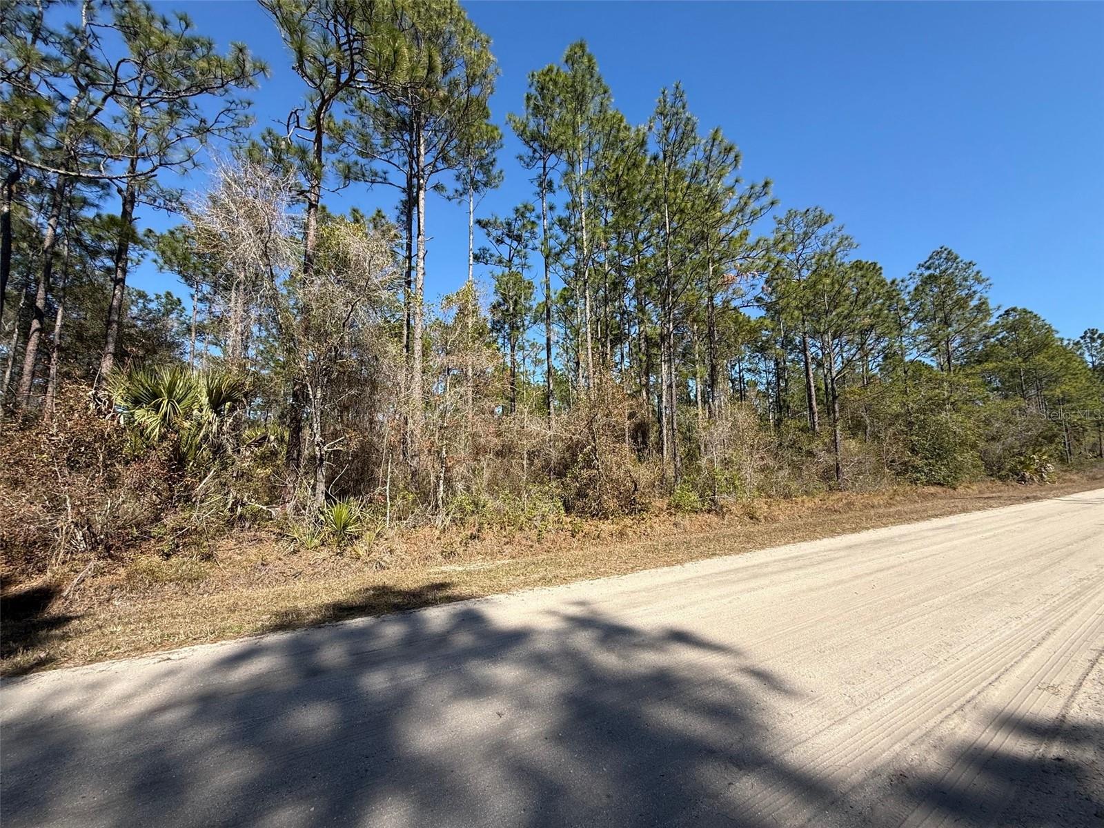 4664 CLOVE AVE Property Photo 1