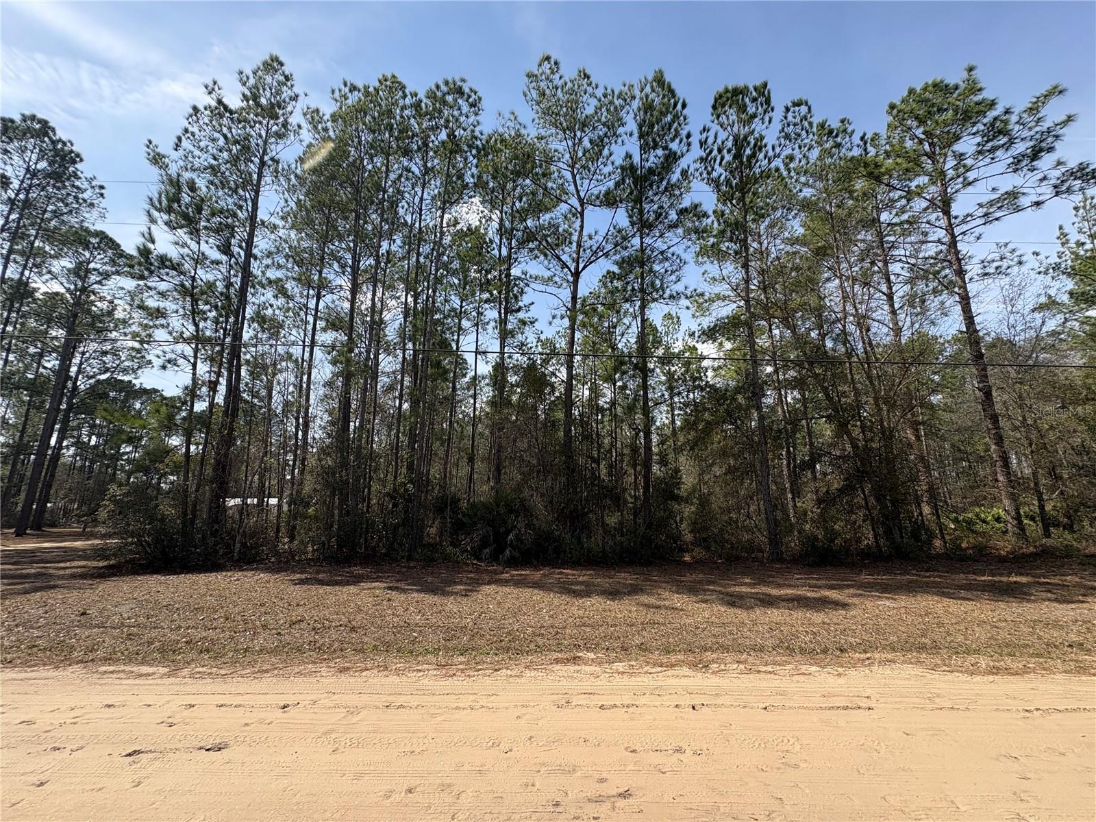 4385 Bondarenko Rd Property Photo 1