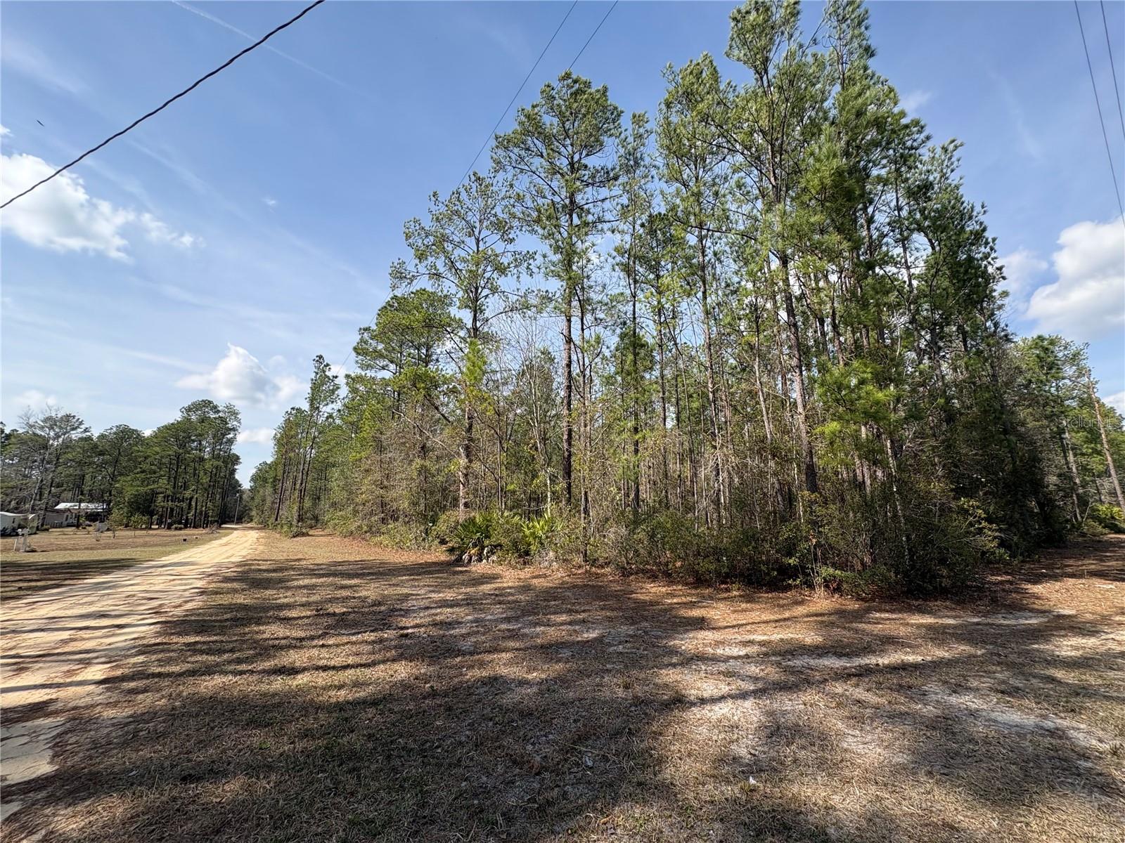 4385 Bondarenko Rd Property Photo 4