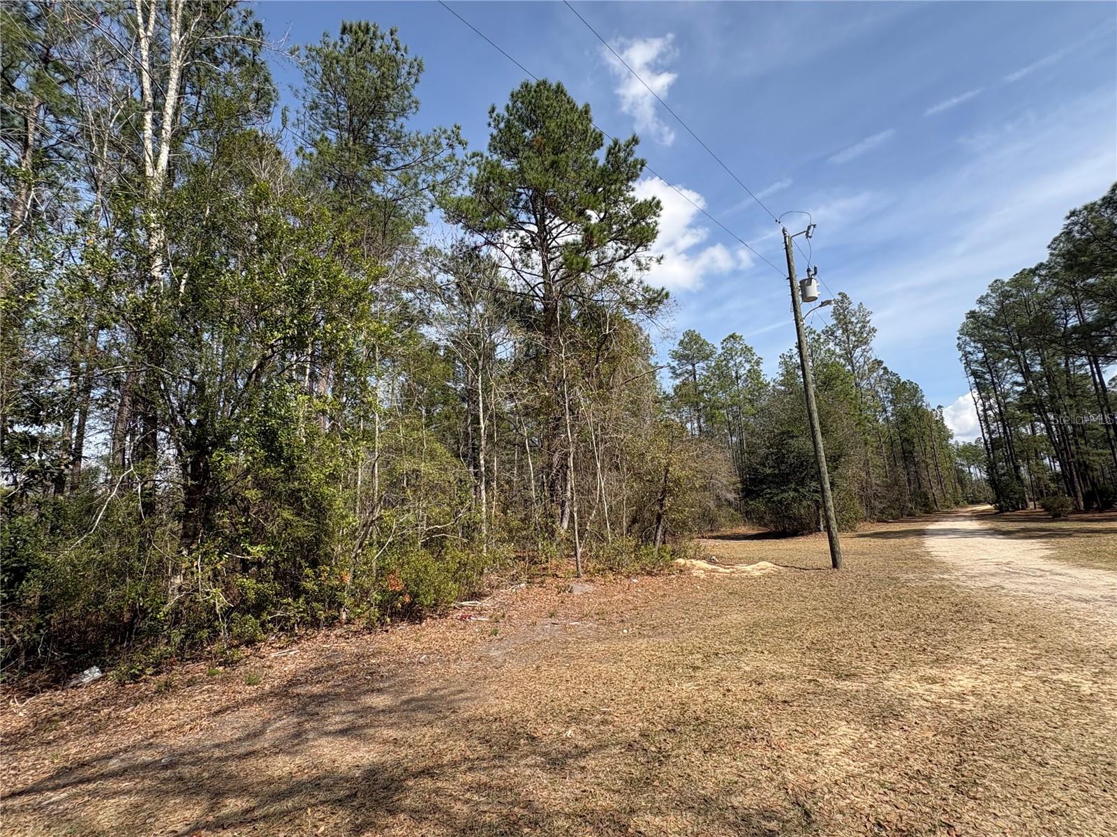 4385 Bondarenko Rd Property Photo 7