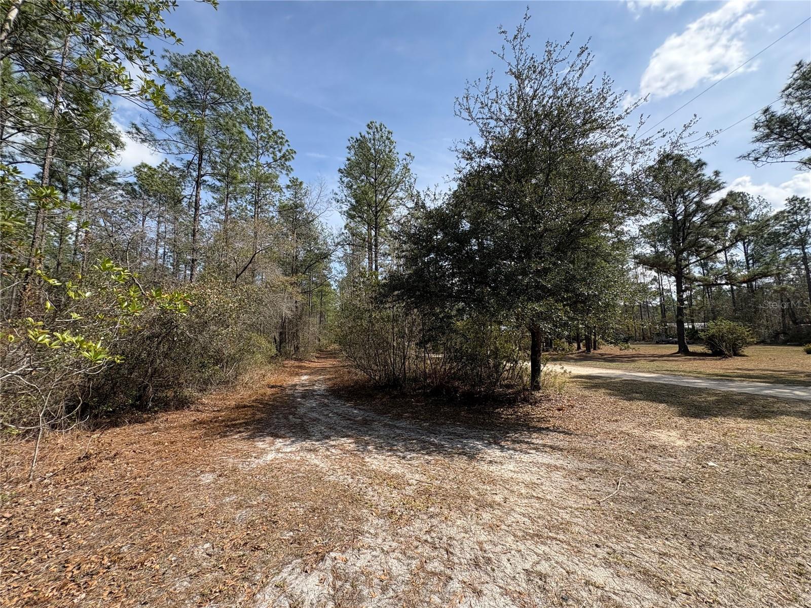 4385 Bondarenko Rd Property Photo 8