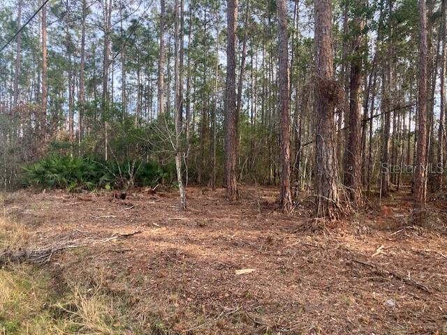 4515 MAHOGANY BLVD Property Photo 1