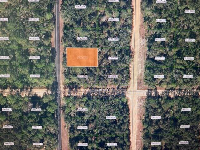 XX THERESA AVE Property Photo 1