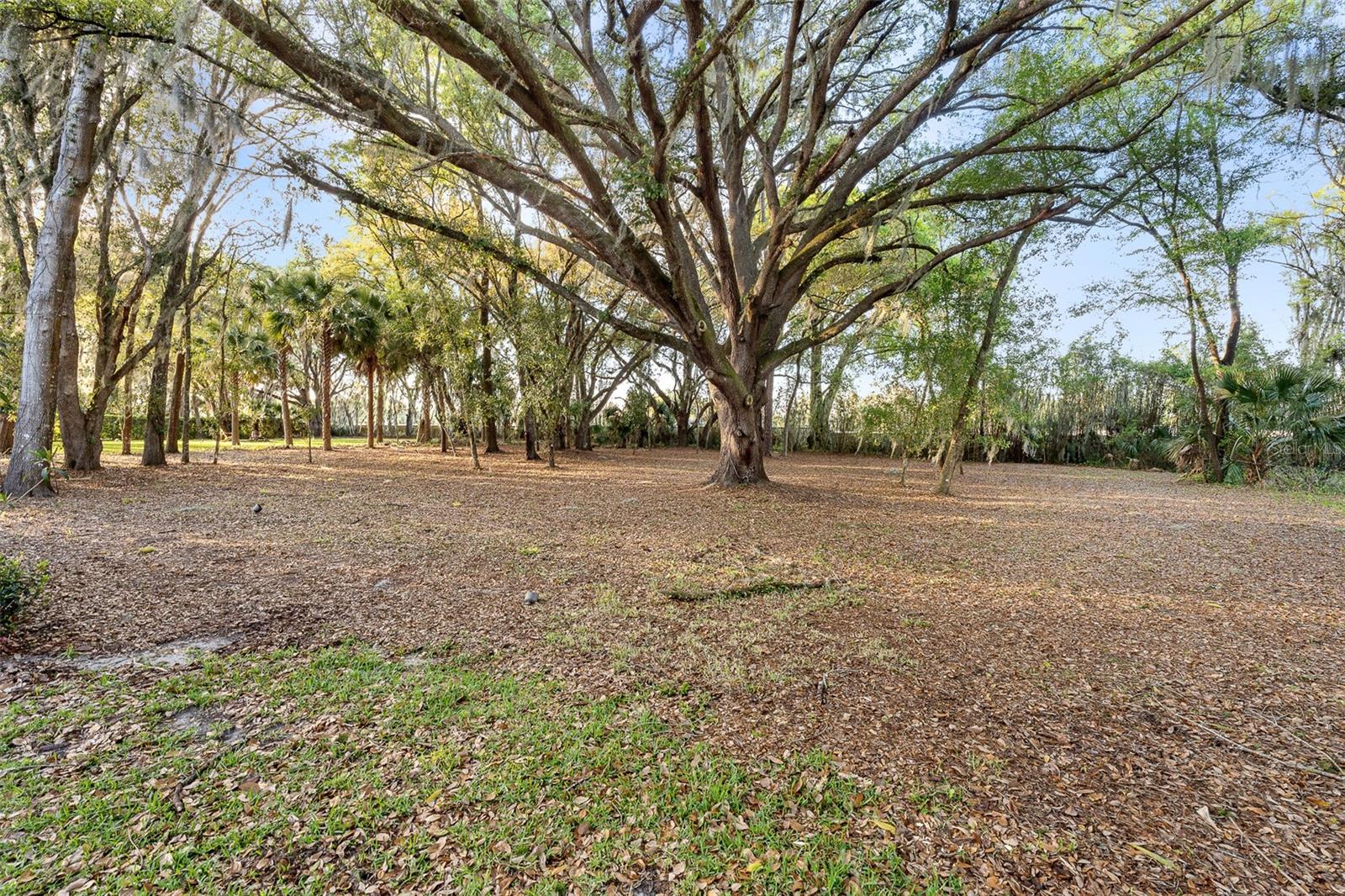 7341 Bella Foresta Pl Property Photo 79