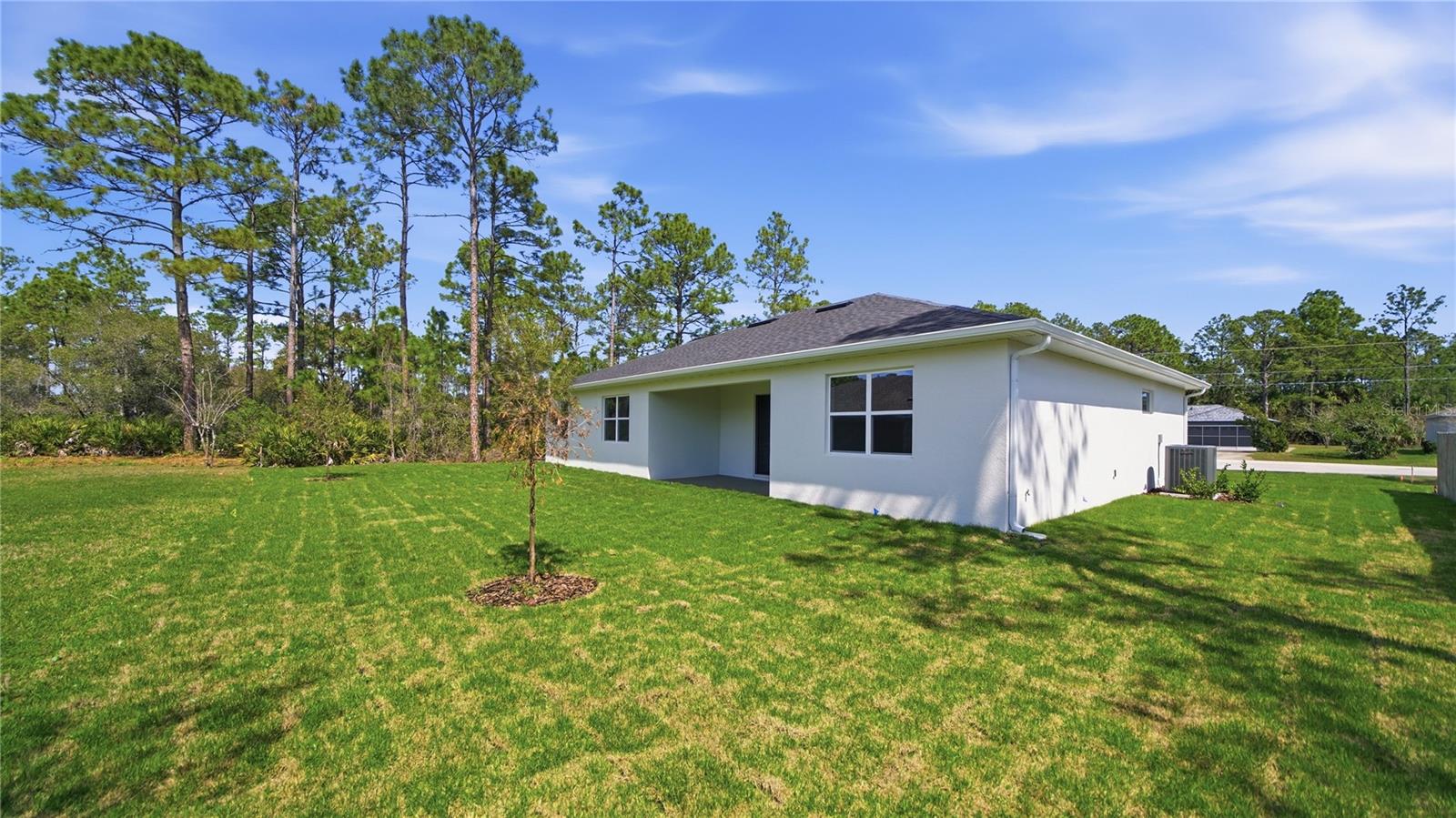 34 Seville Orange Path Property Photo 43