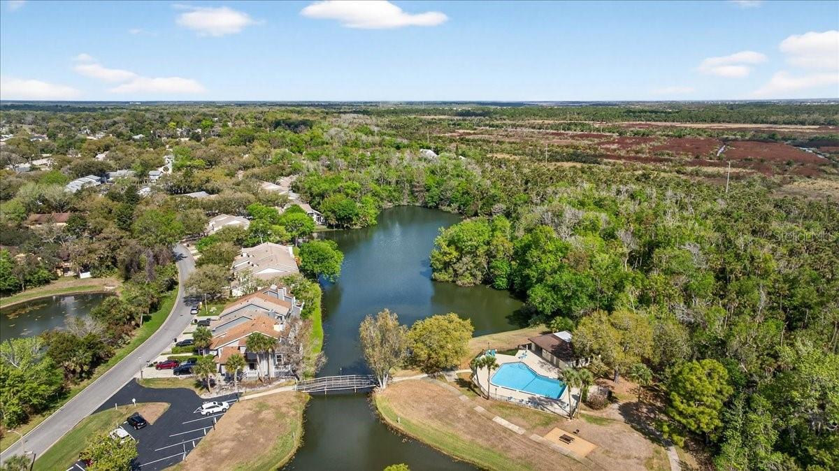 525 Lake Bridge Dr Property Photo 62