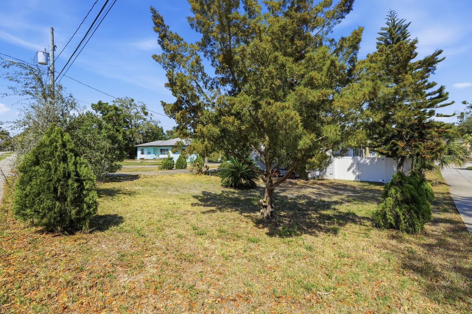 231 N Ridgewood Ave Property Photo 45