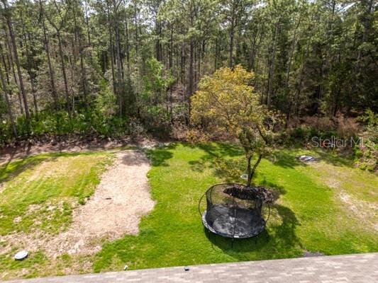 5631 Ironwood Ave Property Photo 28