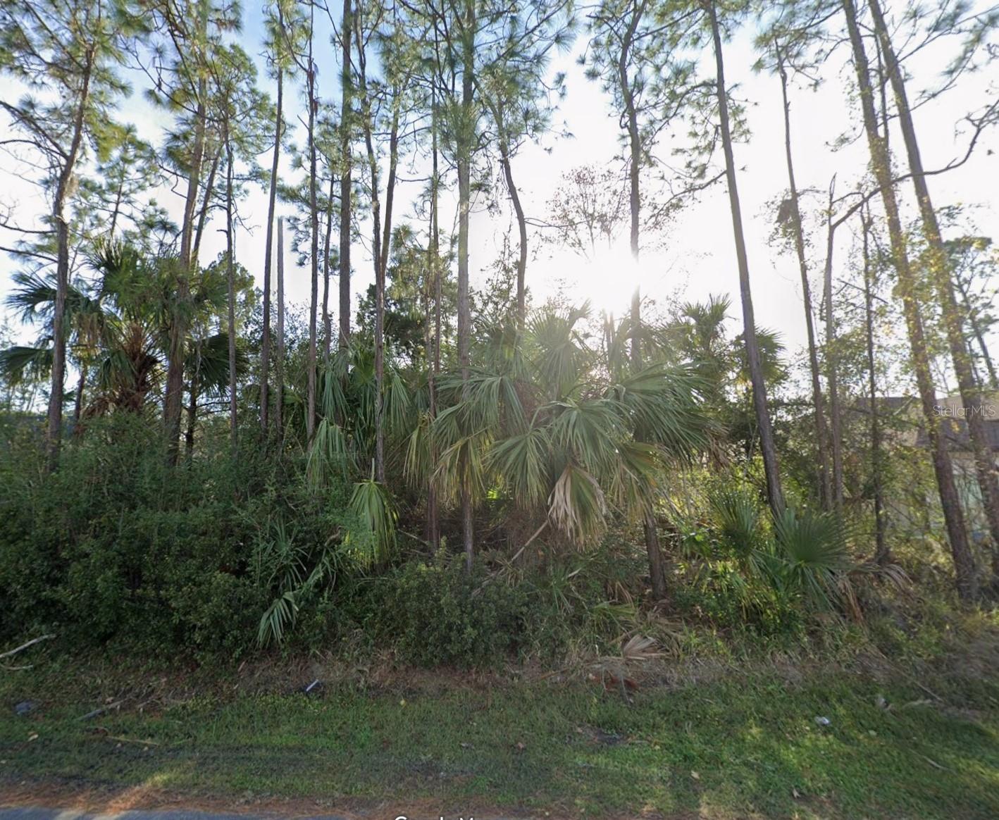 24 Pony Ln Property Photo 1