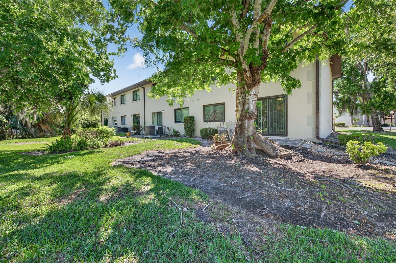 1601 Big Tree Rd #101 Property Photo 18