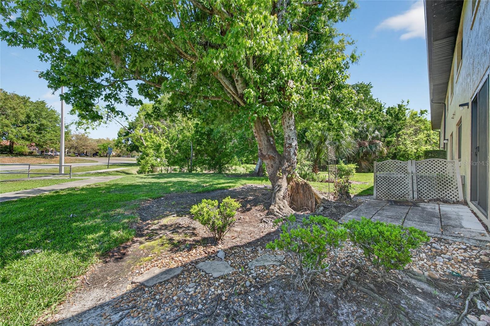 1601 Big Tree Rd #101 Property Photo 19