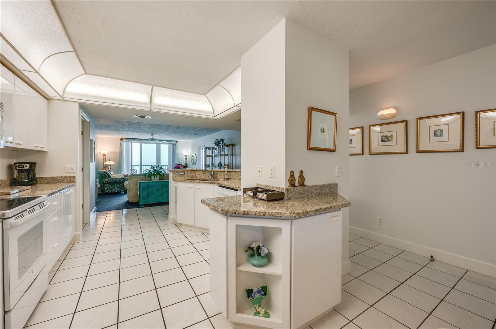 4565 S Atlantic Ave #5407 Property Photo 10