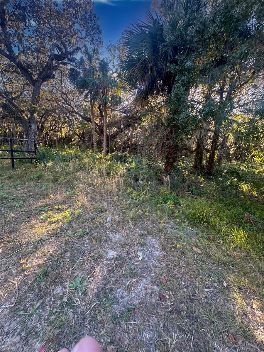 5276 & 5288 N Ocean Shore Blvd Property Photo 4