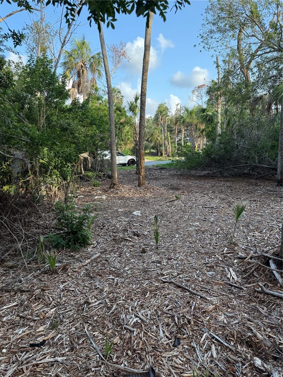1471 S Estuary Dr Property Photo 4