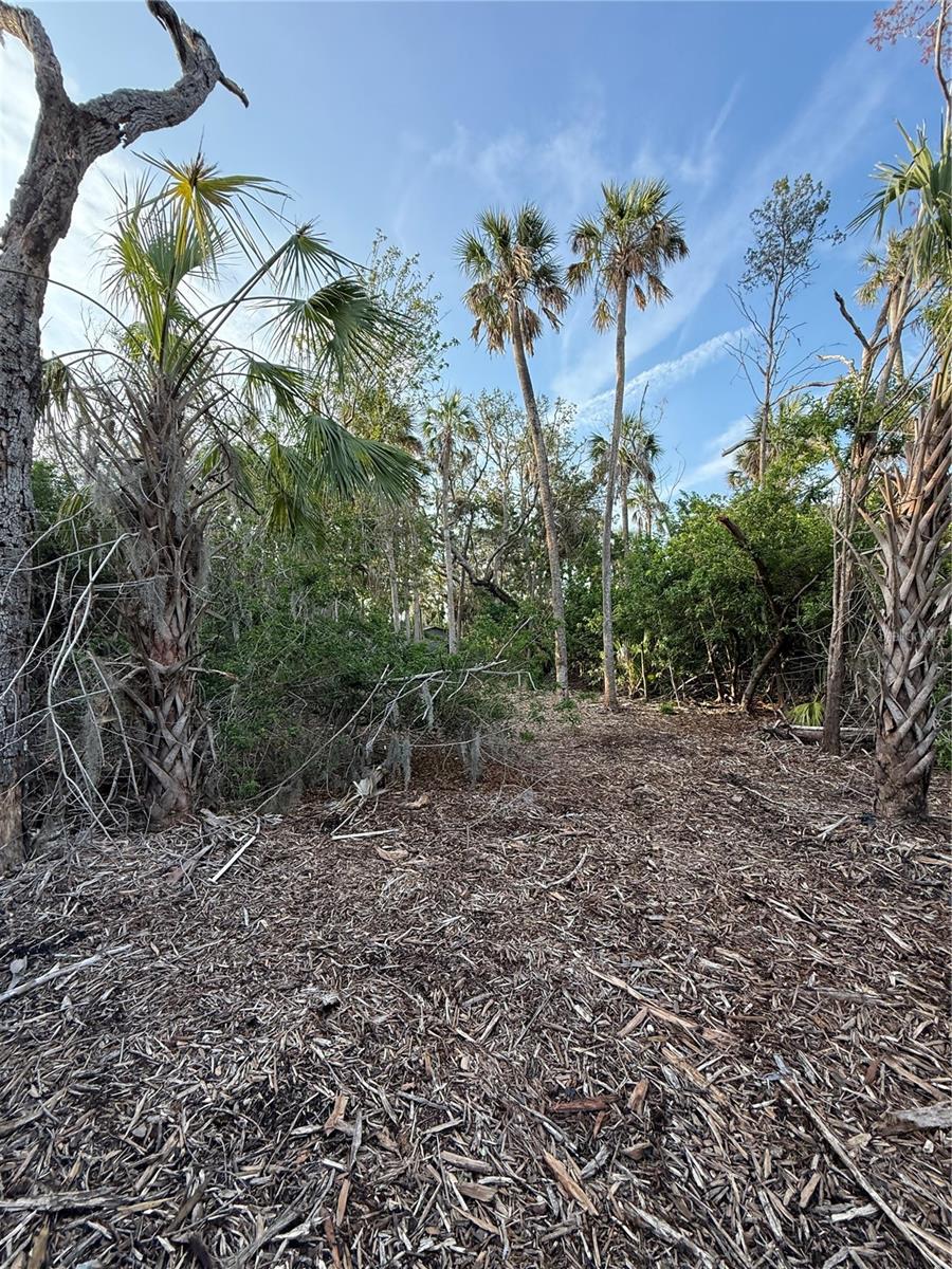 1471 S Estuary Dr Property Photo 7