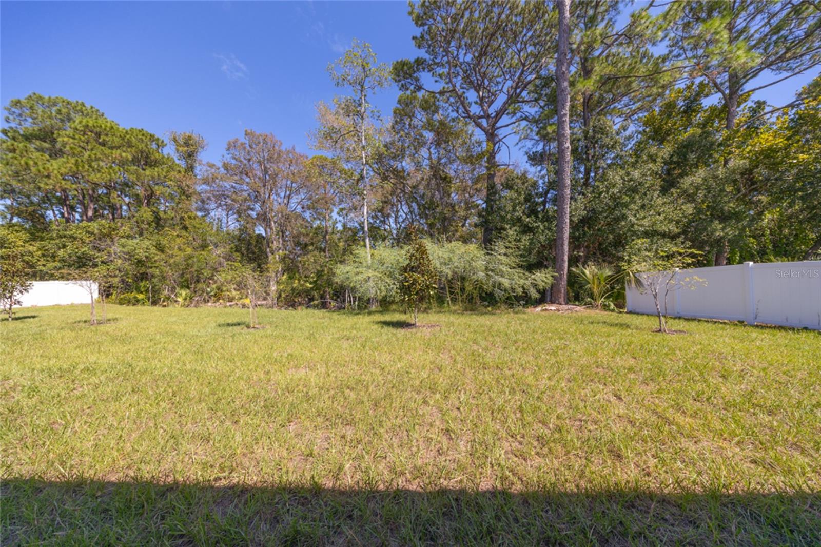 35 Farnell Ln Property Photo 18