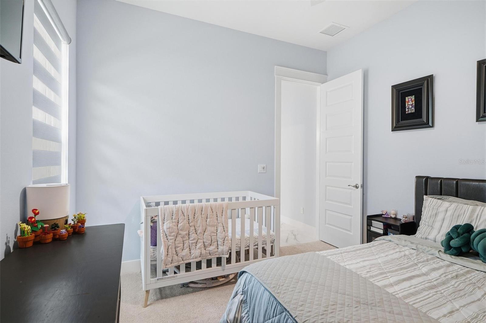 9 Del Palma Dr Property Photo 60