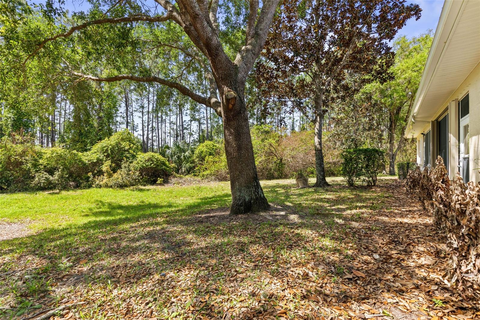 3003 Glin Cir Property Photo 41