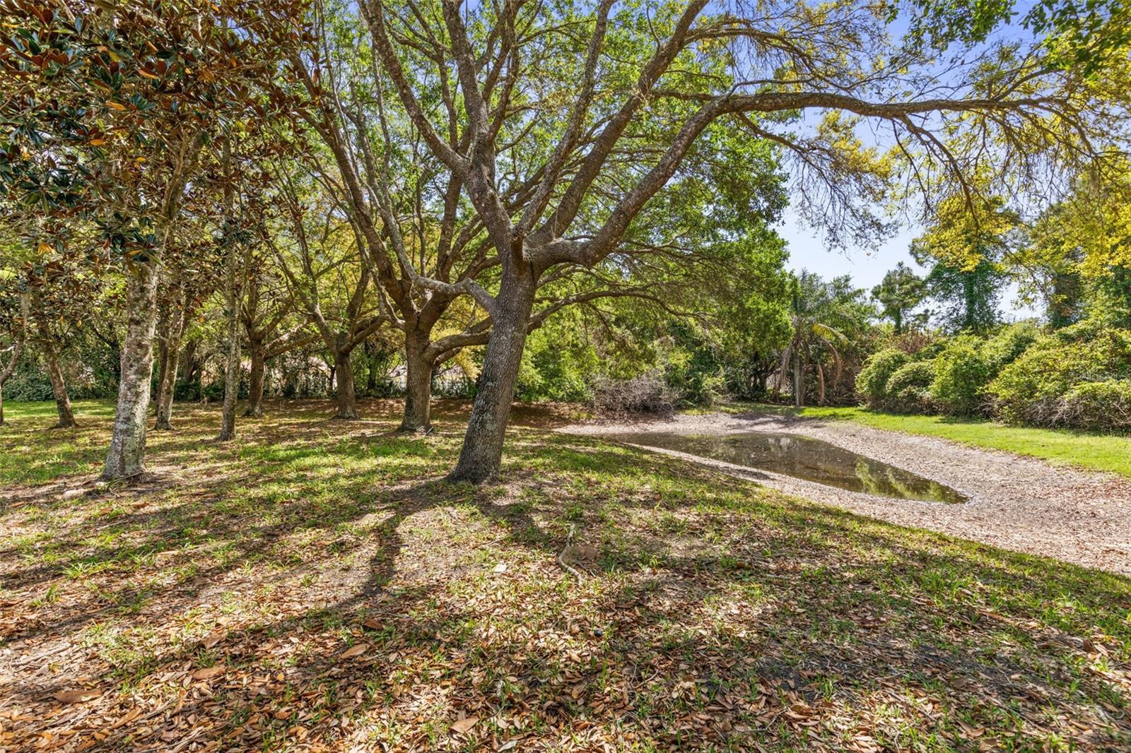 3003 Glin Cir Property Photo 43