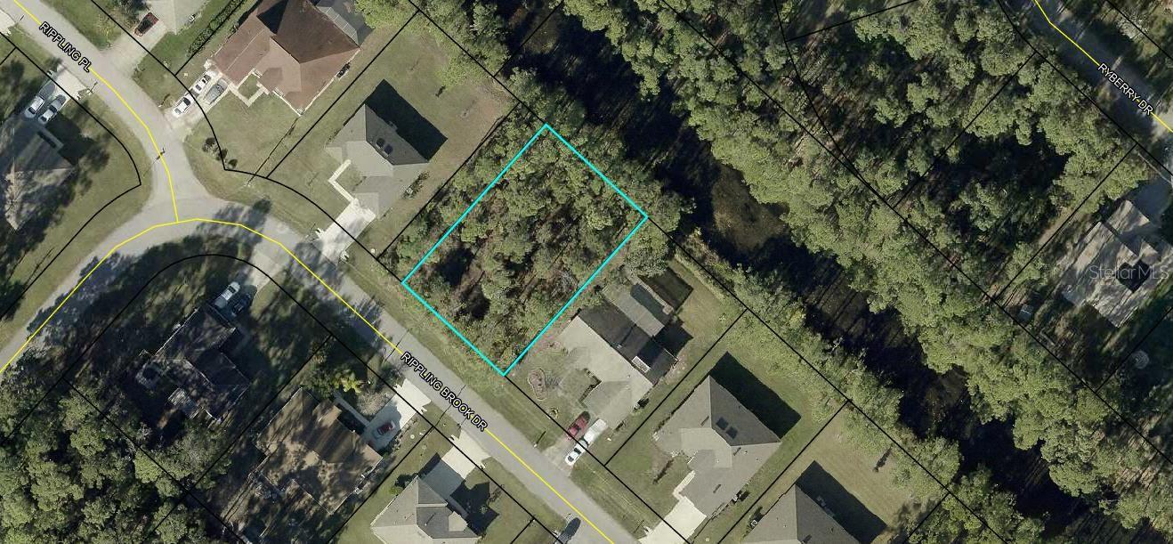 15 RIPPLING BROOK DR Property Photo 1