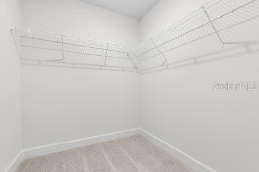 9 Lamar Ln Property Photo 11