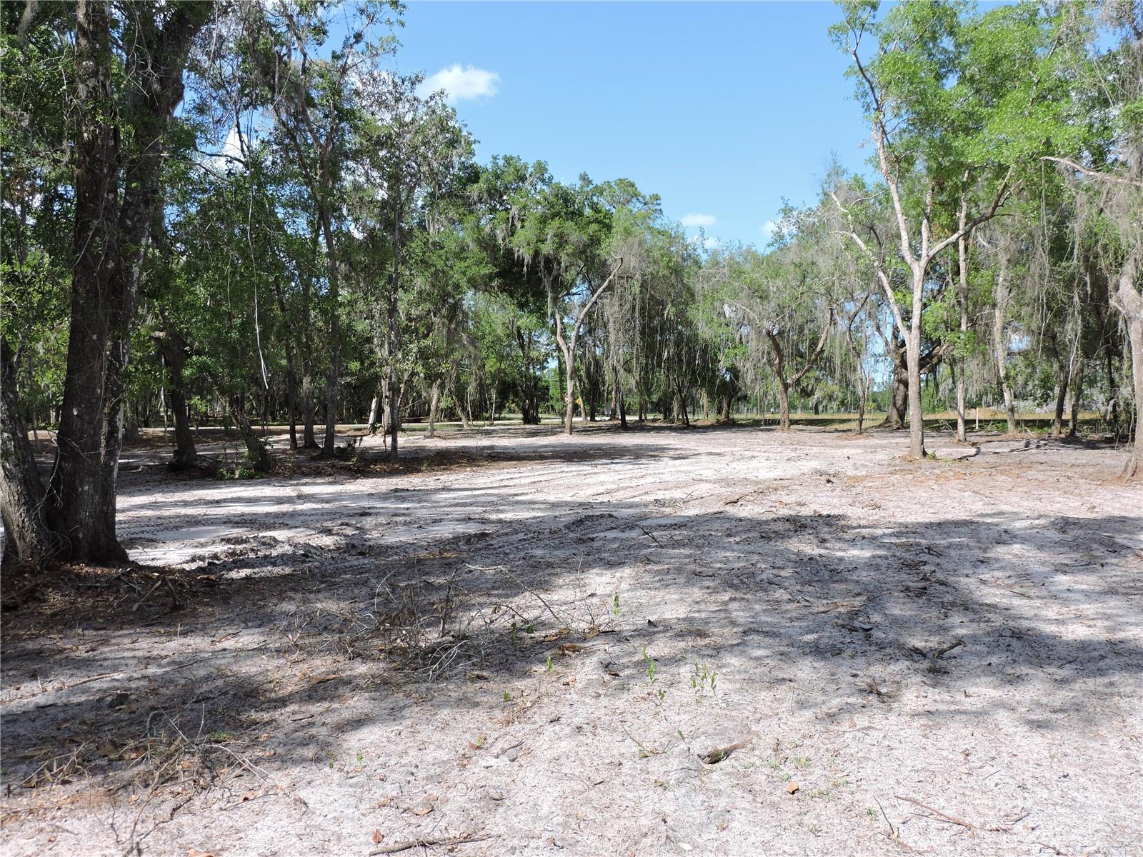County Road 309 Property Photo 1