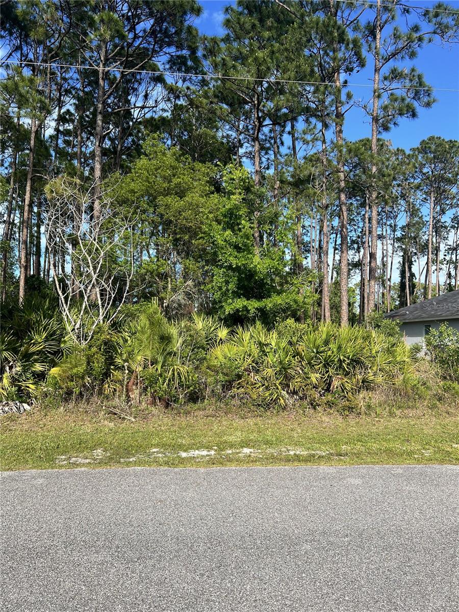 153 Ullian Trl Property Photo 1