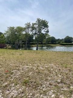 699 Mahogany Run Property Photo 3