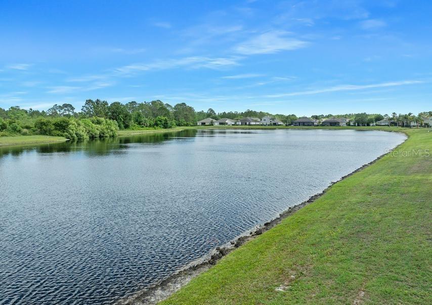 361 Perfect Dr Property Photo 47