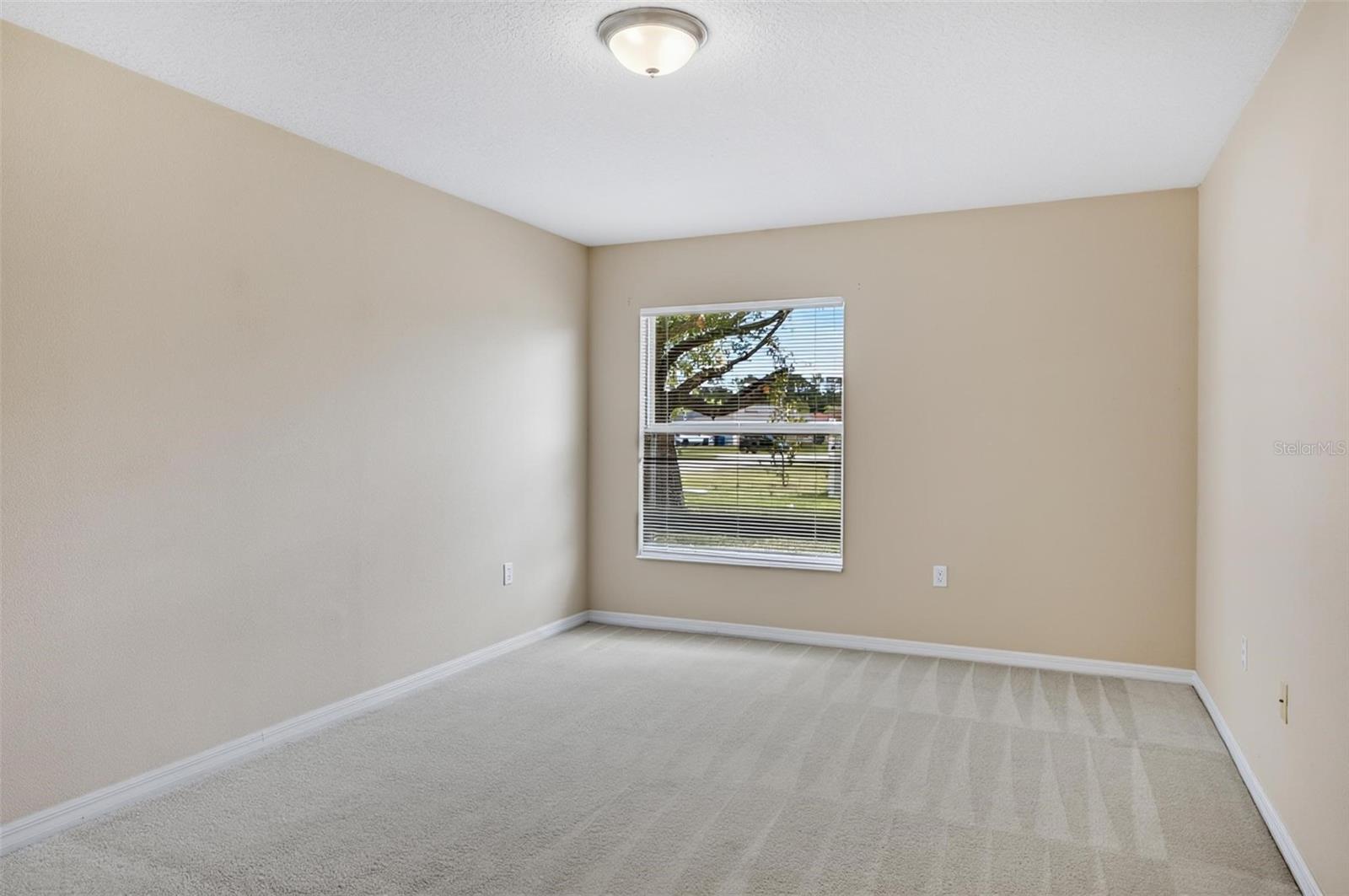 1 Ethan Pl Property Photo 25