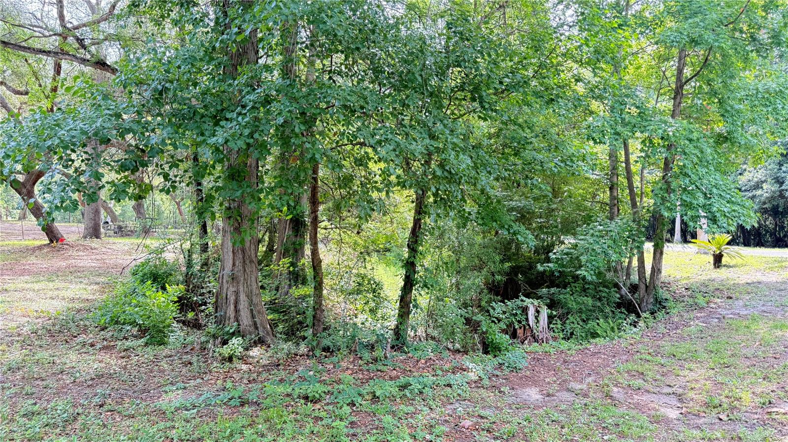 2905 Creek St Property Photo 11