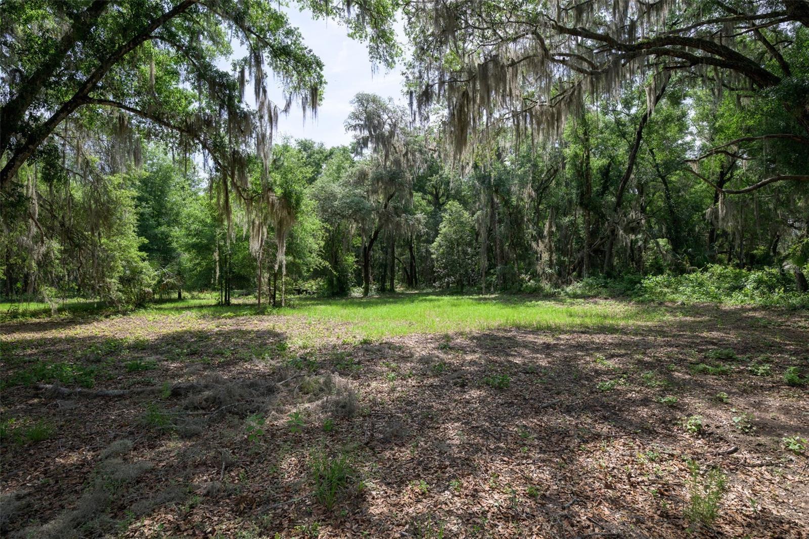 374 Sisco Rd Property Photo 23