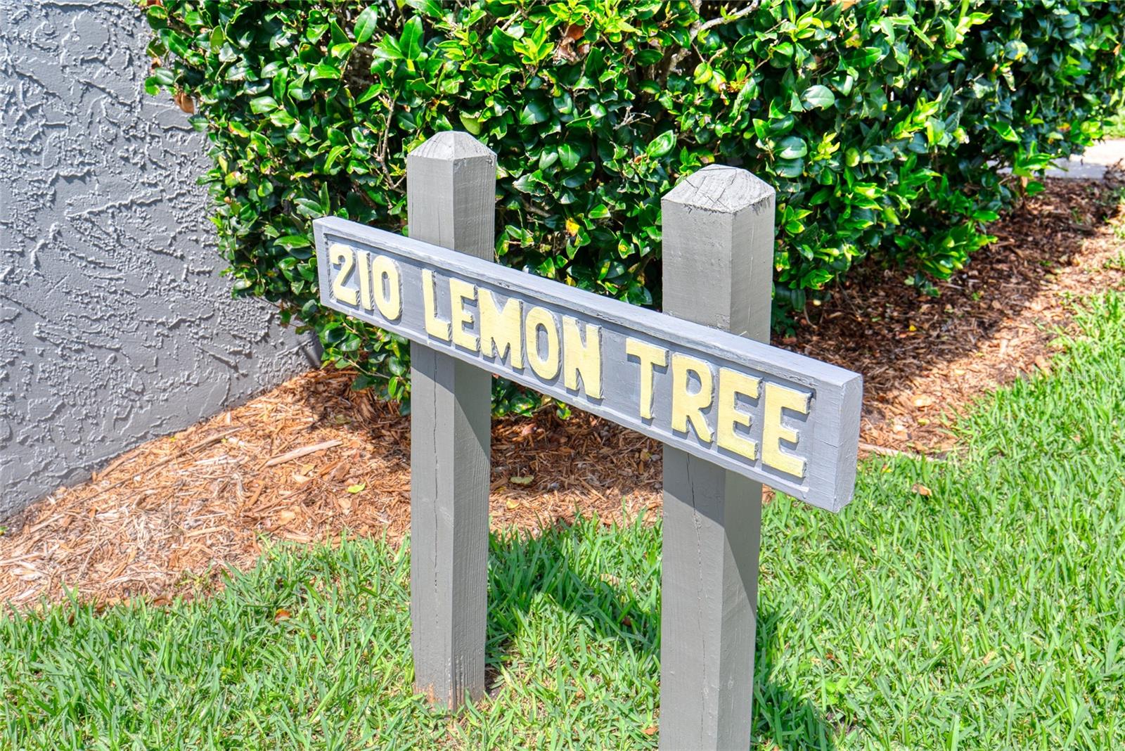 210 Lemon Tree Ln #9 Property Photo 39