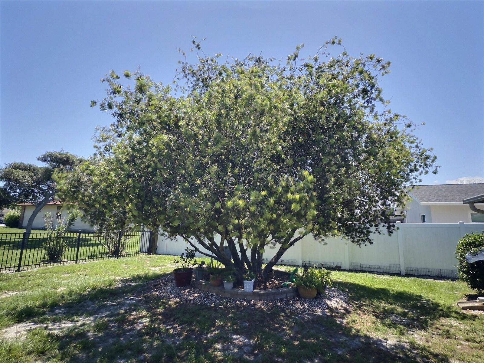 34 Felter Ln Property Photo 10