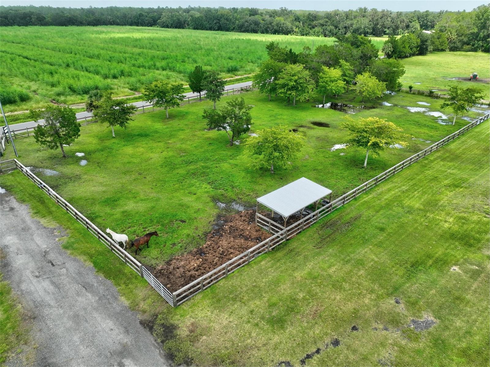 596 E County Road 90 Property Photo 23