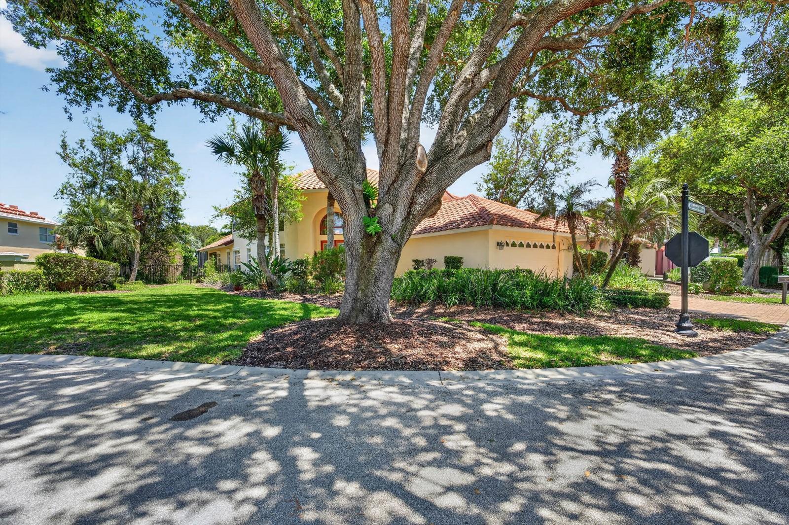 10 Monterrey Dr Property Photo 3