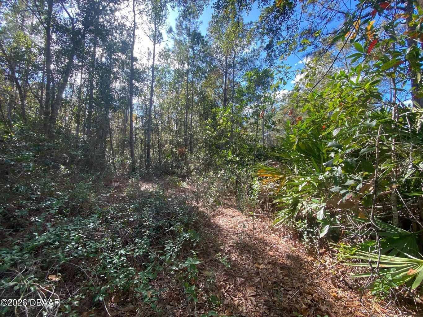 820 Old Bubbly Rd Property Photo 1