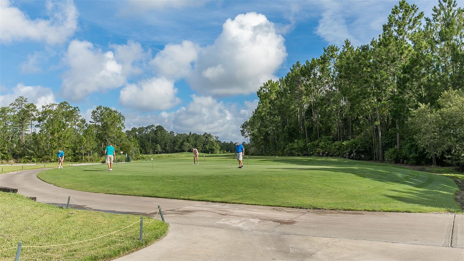 15 Divot Pl Property Photo 46