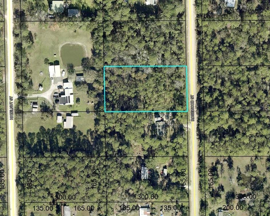 1352 Rosewood St Property Photo 1