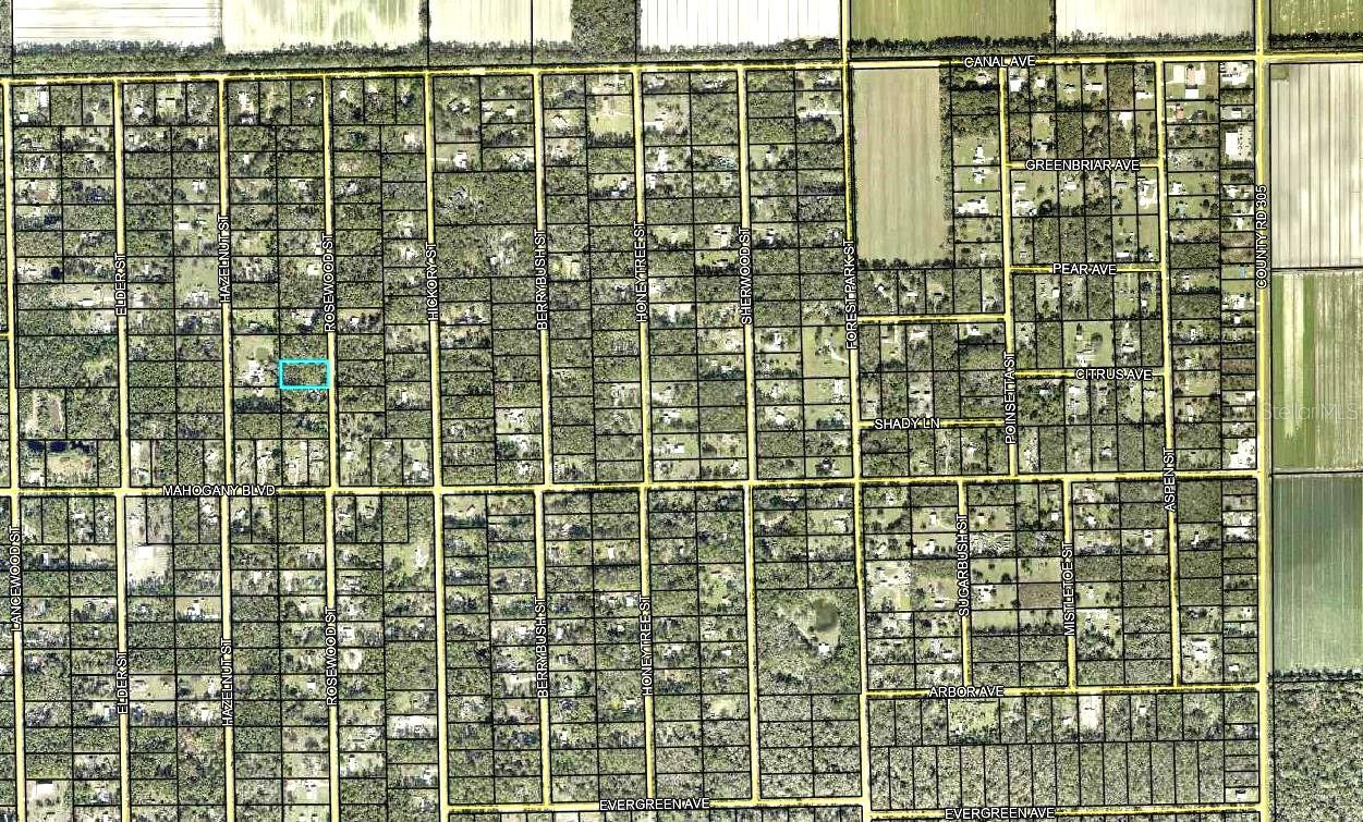 1352 Rosewood St Property Photo 2