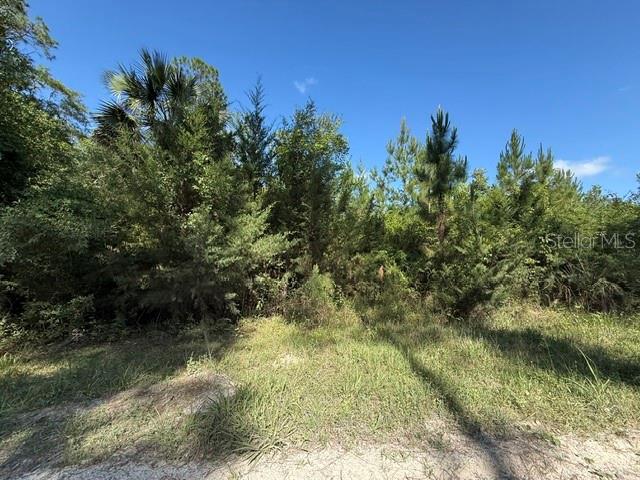 County Road 75 Property Photo 1