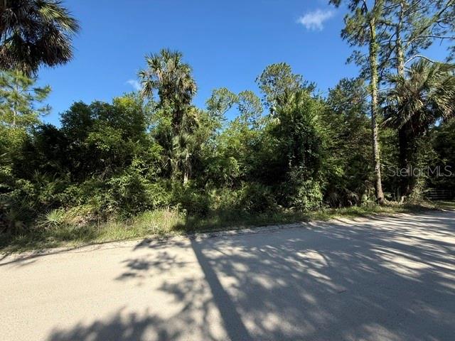 County Road 75 Property Photo 3