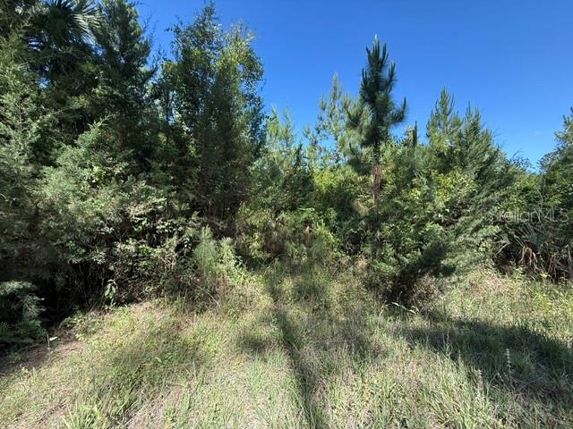 County Road 75 Property Photo 4