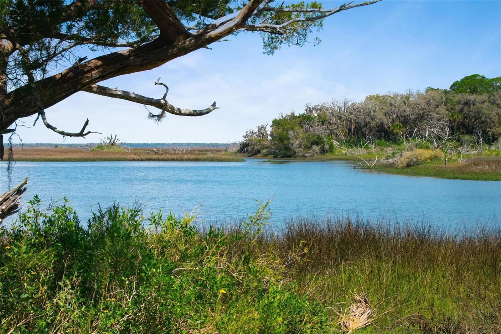 10474 Salt Marsh Trl Property Photo 3