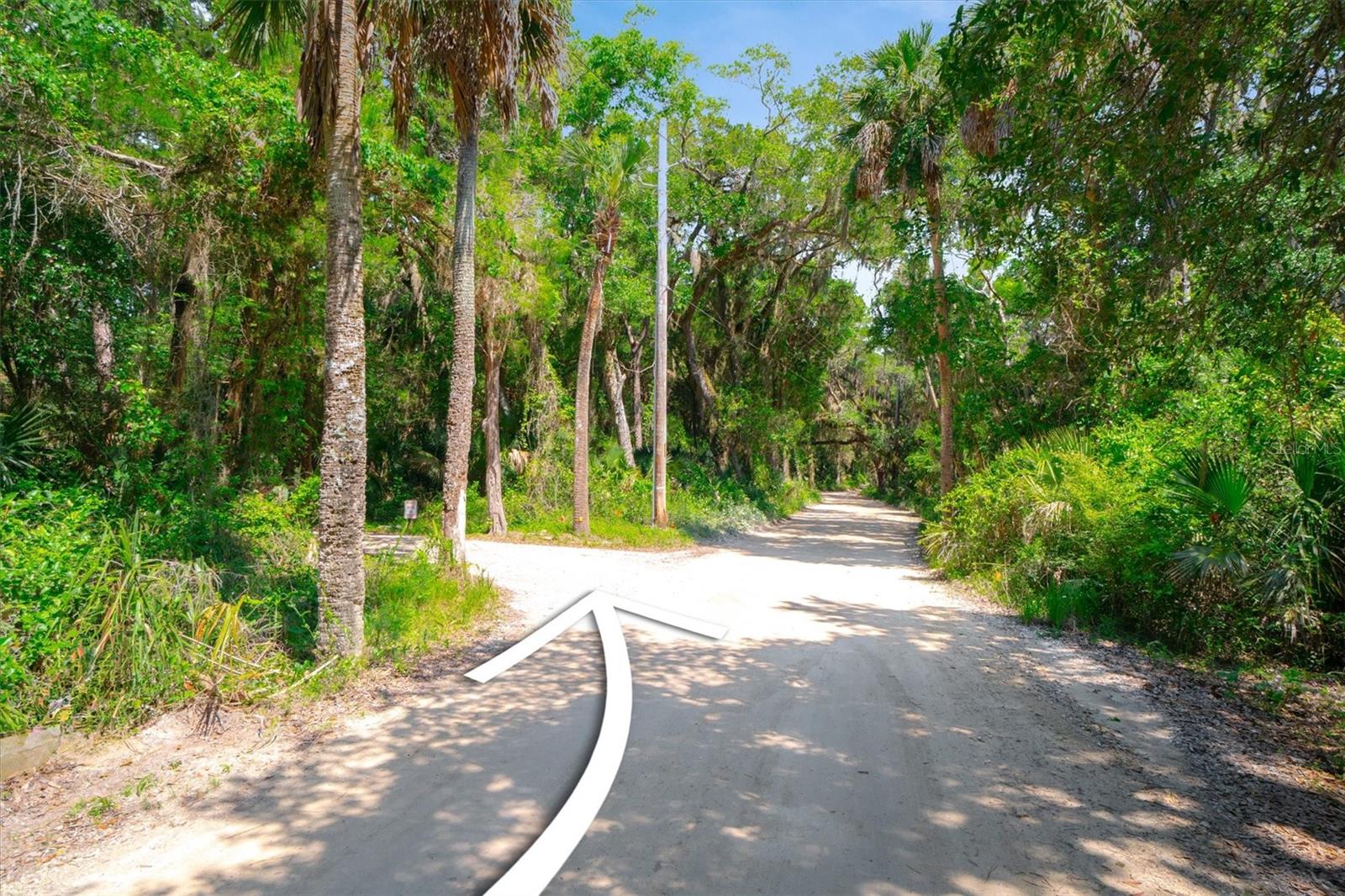 10474 Salt Marsh Trl Property Photo 7